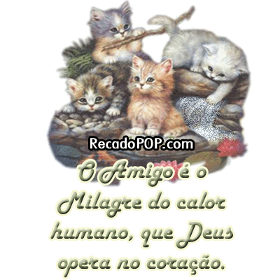 O amigo  o milagre do calor humano, que Deus opera no corao.