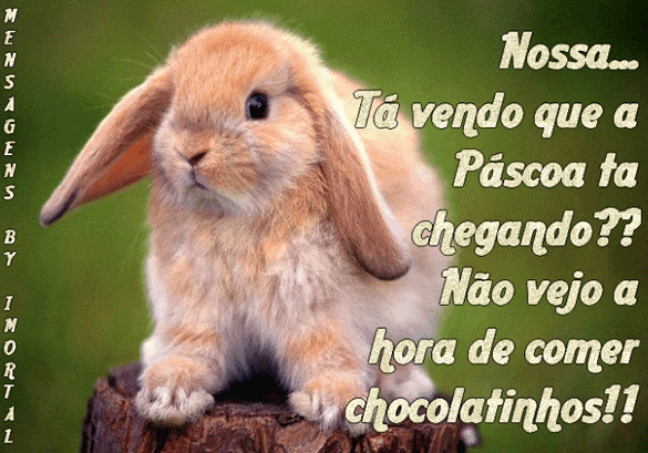 Nossa... t vendo que a Pscoa t chegando? No vejo a hora de comer chocolatinhos!