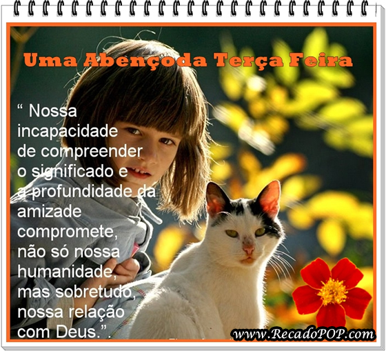 Nossa incapacidade de compreender o significado e a profundidade da amizade compromete, no s nossa humanidade, mas sobretudo, nossa relao com Deus.